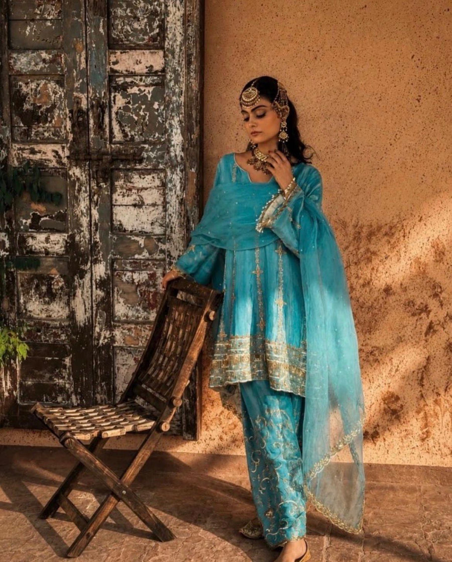 Pure Silk Tissue Kalidar Punjabi Suit
