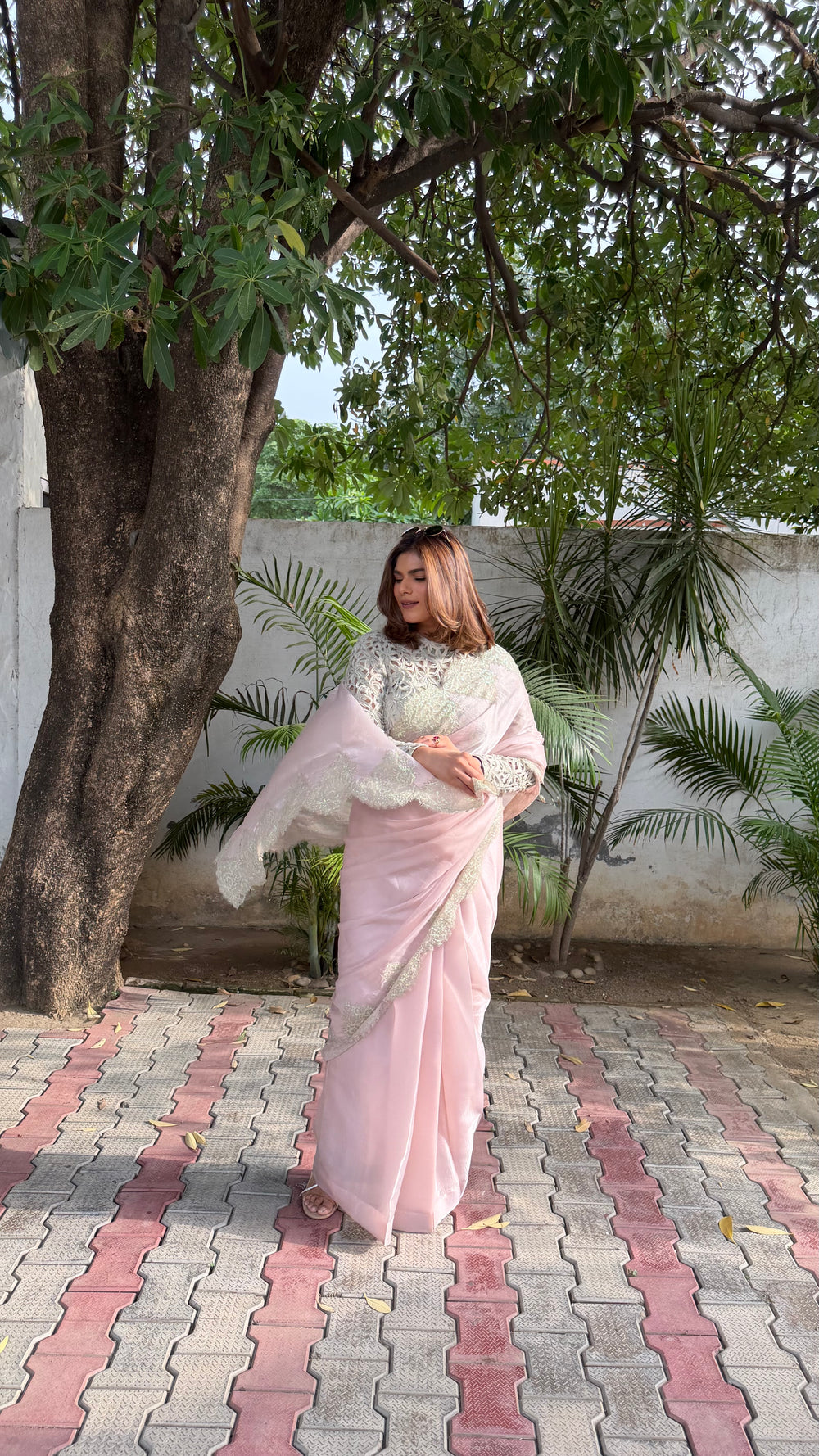Pearl Blush Saree
