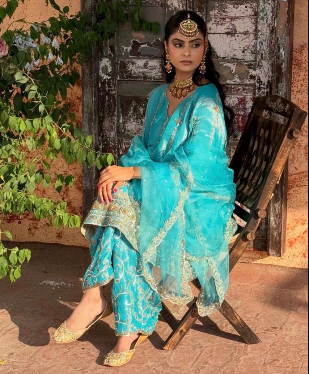 Pure Silk Tissue Kalidar Punjabi Suit