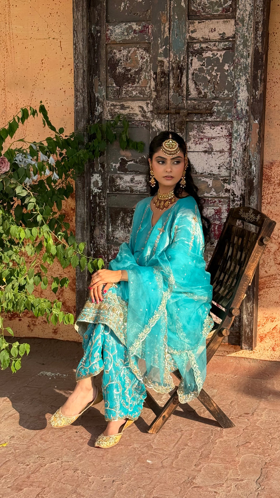 Pure Silk Tissue Kalidar Punjabi Suit
