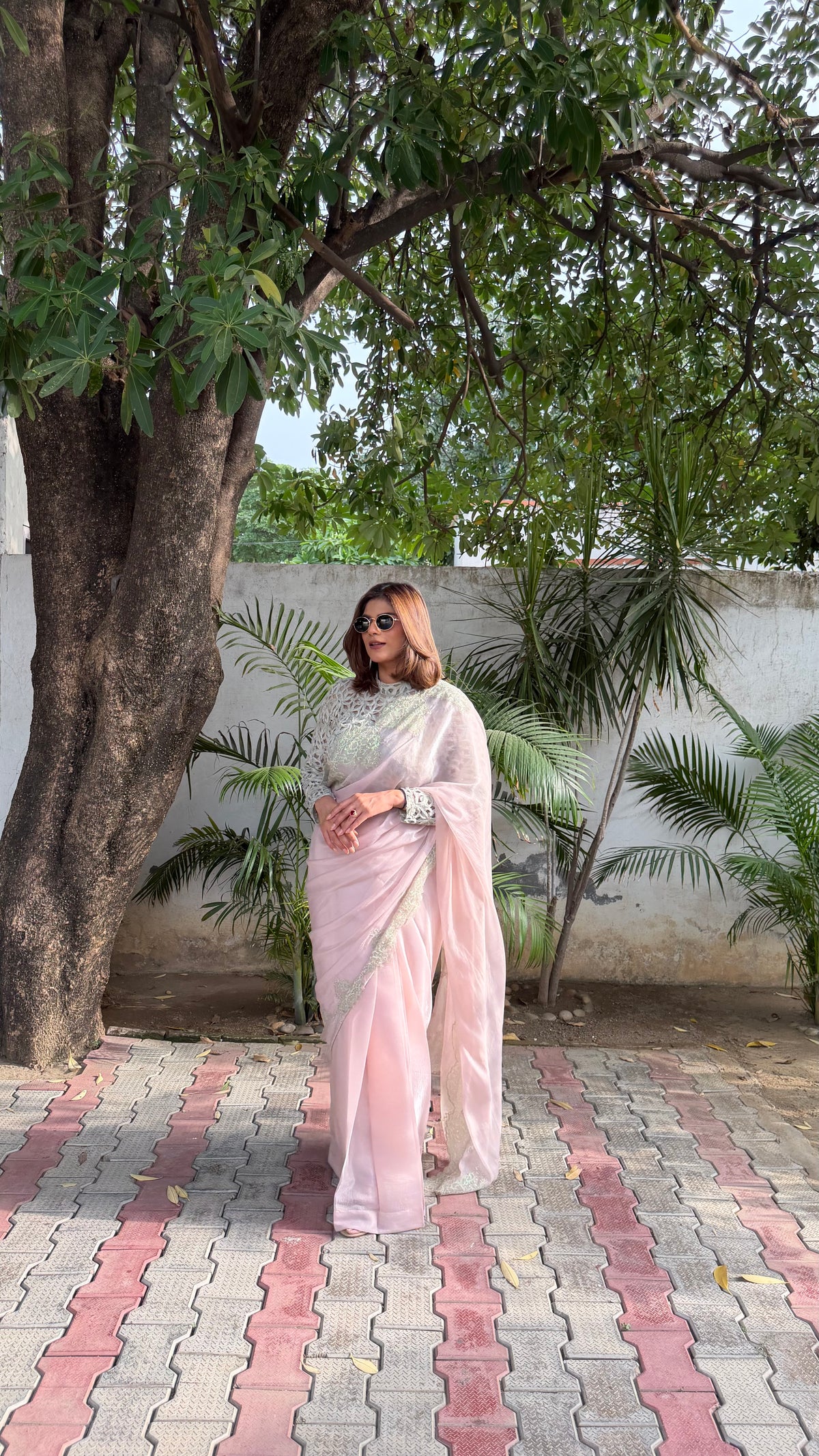 Pearl Blush Saree